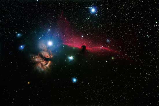 Canis Minor and major