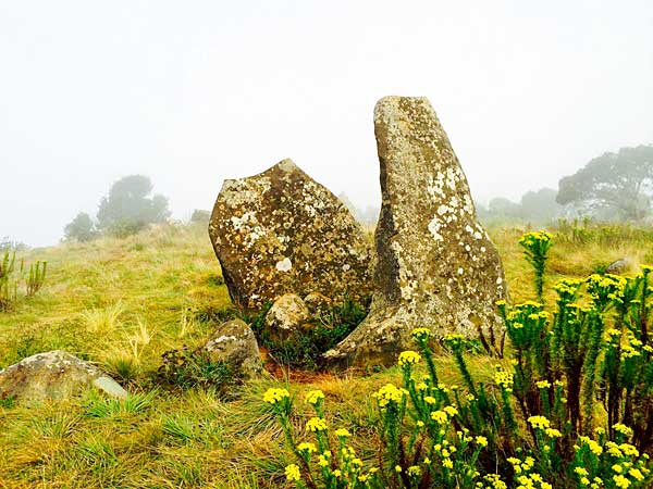 Calendar Stones with Flowers