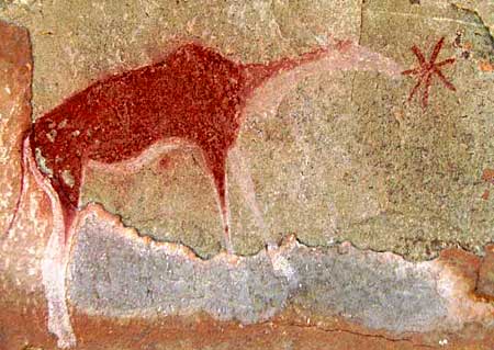 Bushman Rock Art