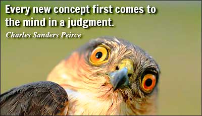 Concept Judgement
