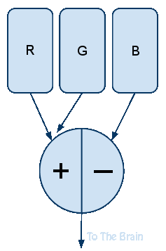 Red Green - Blue Cone